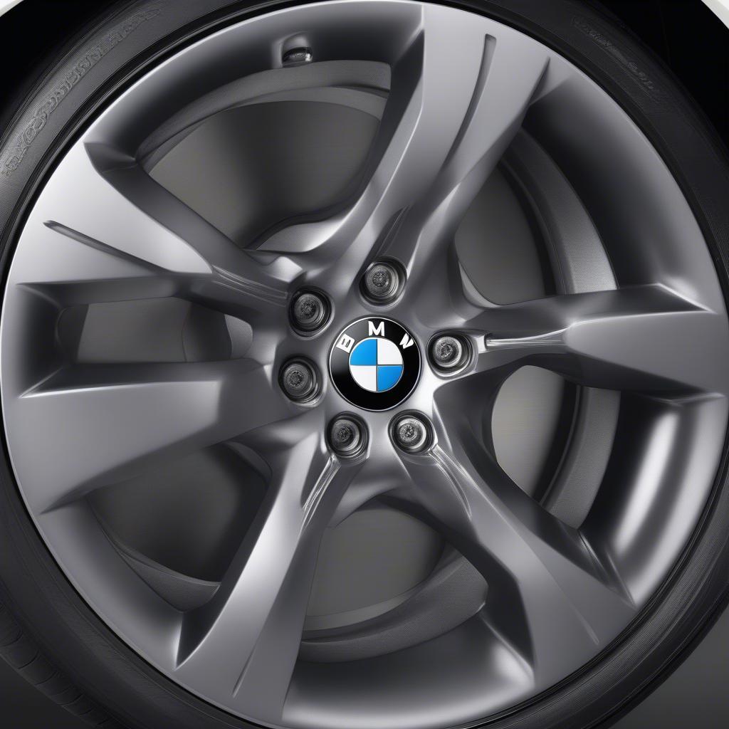 BMW 3 GT Spec Wheel R18 Kiểu Dáng