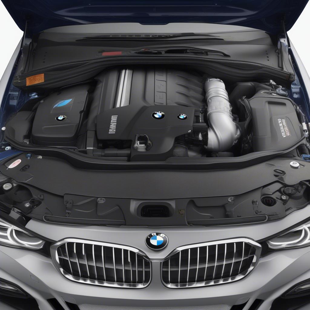 Động cơ BMW 3 Series 2019