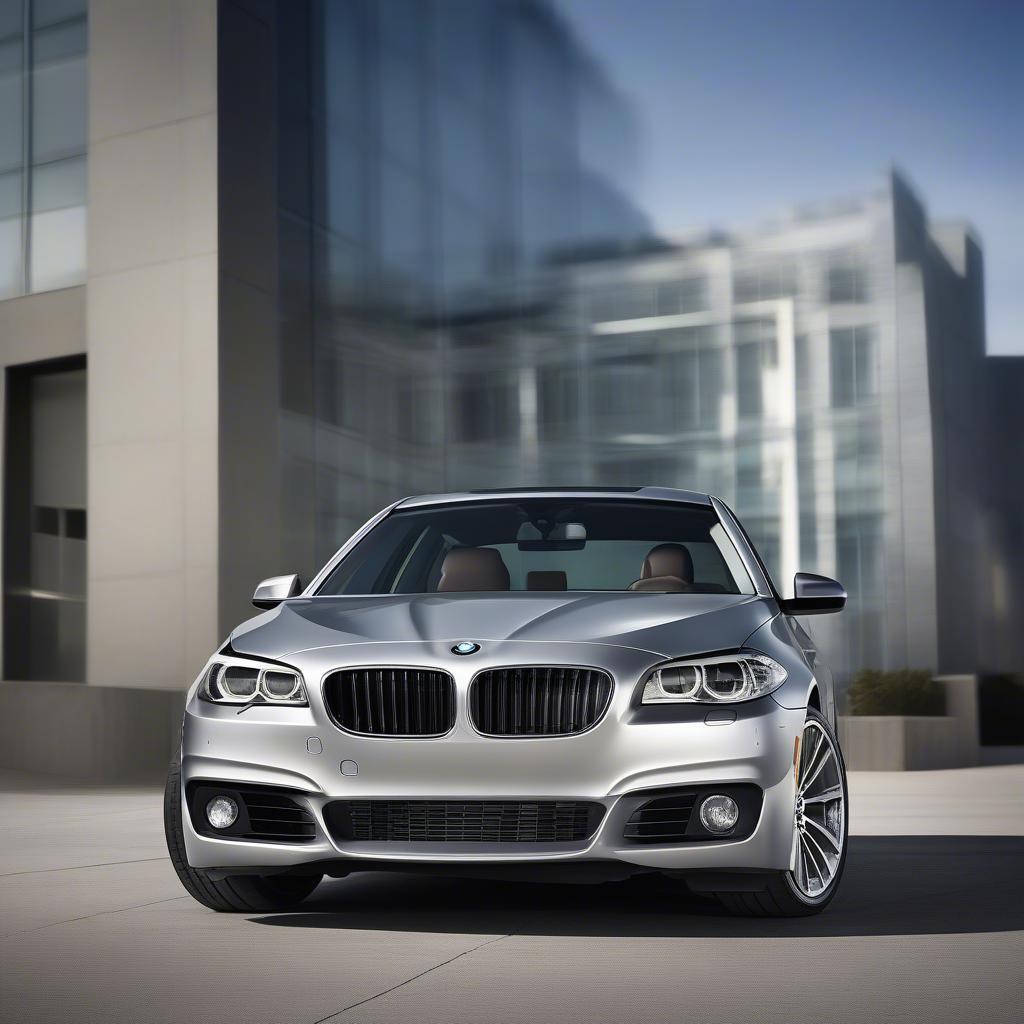 BMW 5 Series 2014 Ngoại Thất