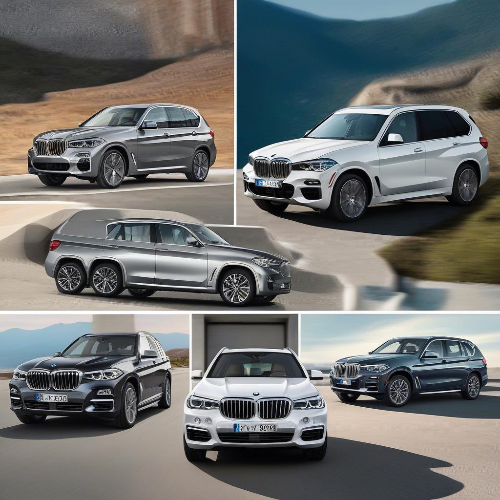 Các phiên bản BMW Hybrid 2019