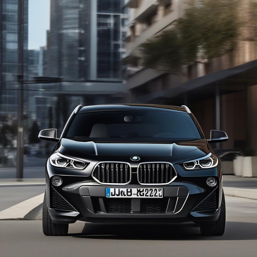 BMW X2 2019 Black Ngoại Thất