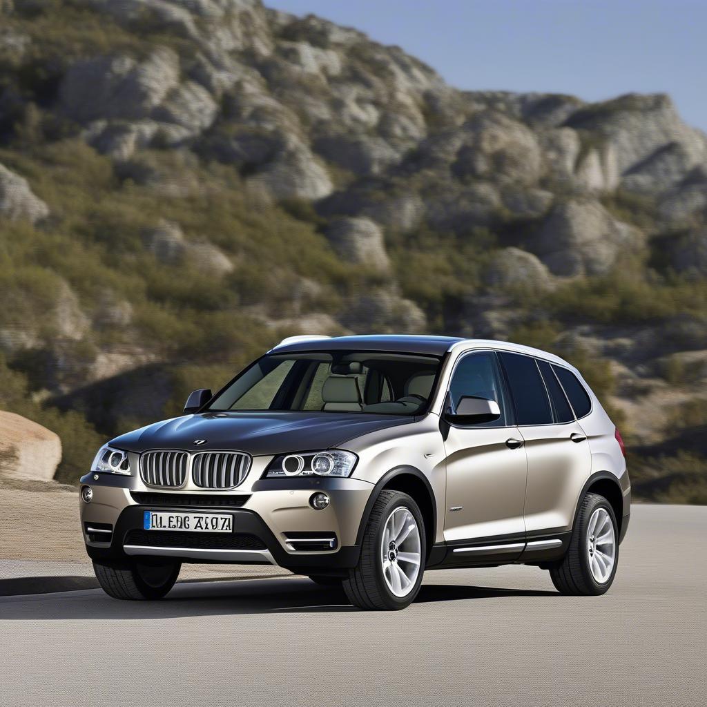 BMW X3 2011 Ngoại Thất