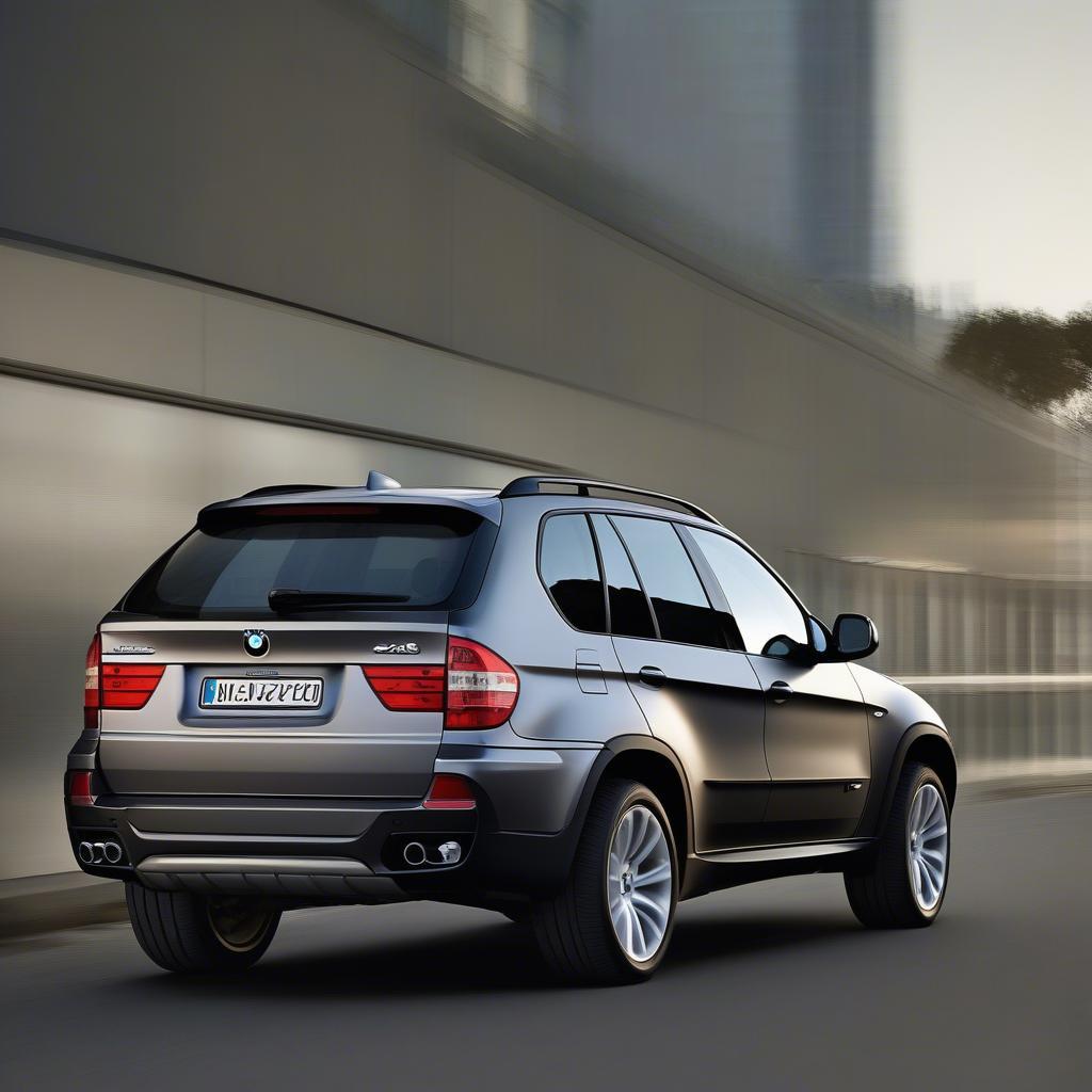 BMW X5 2009 Ngoại Thất