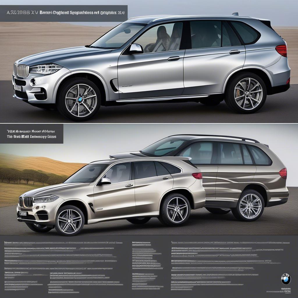 BMW X5 Australia 2018 - Đối thủ