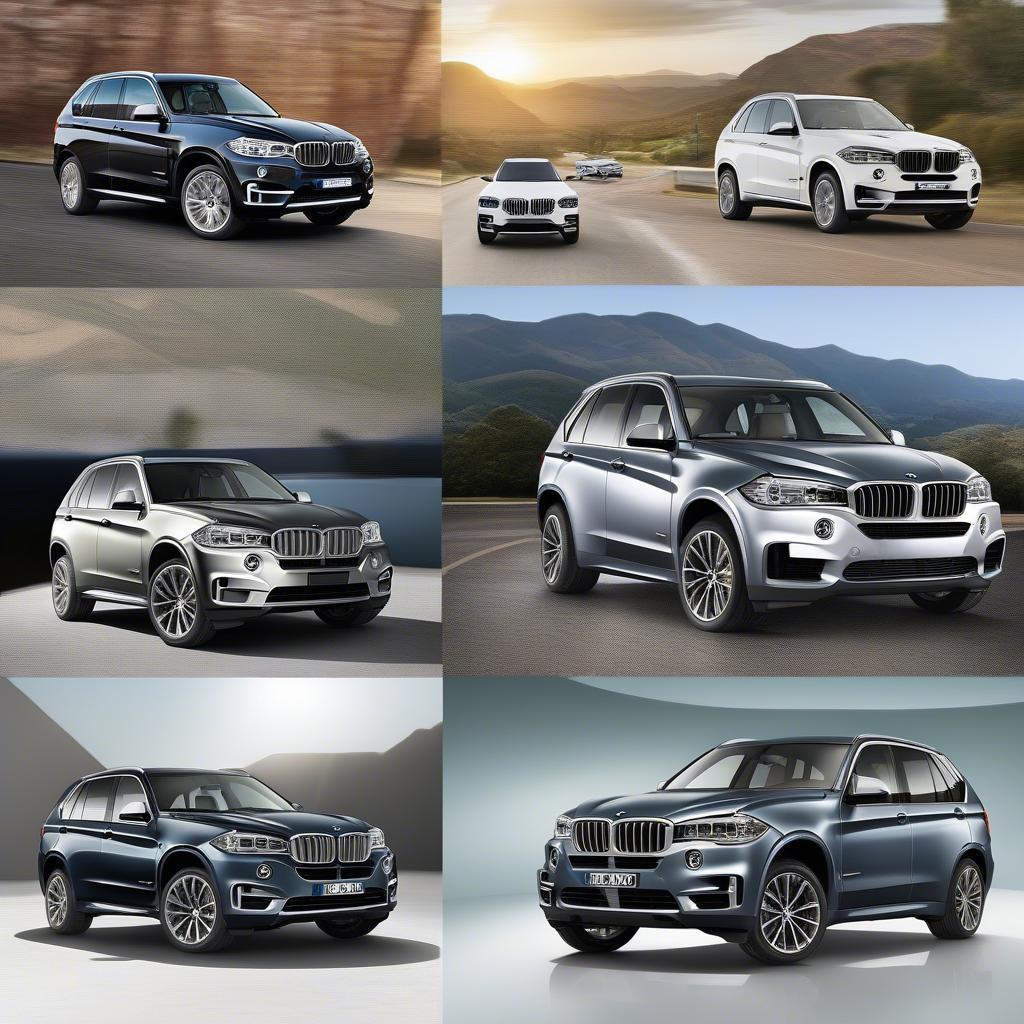 BMW X5 Australia 2018 - Các phiên bản