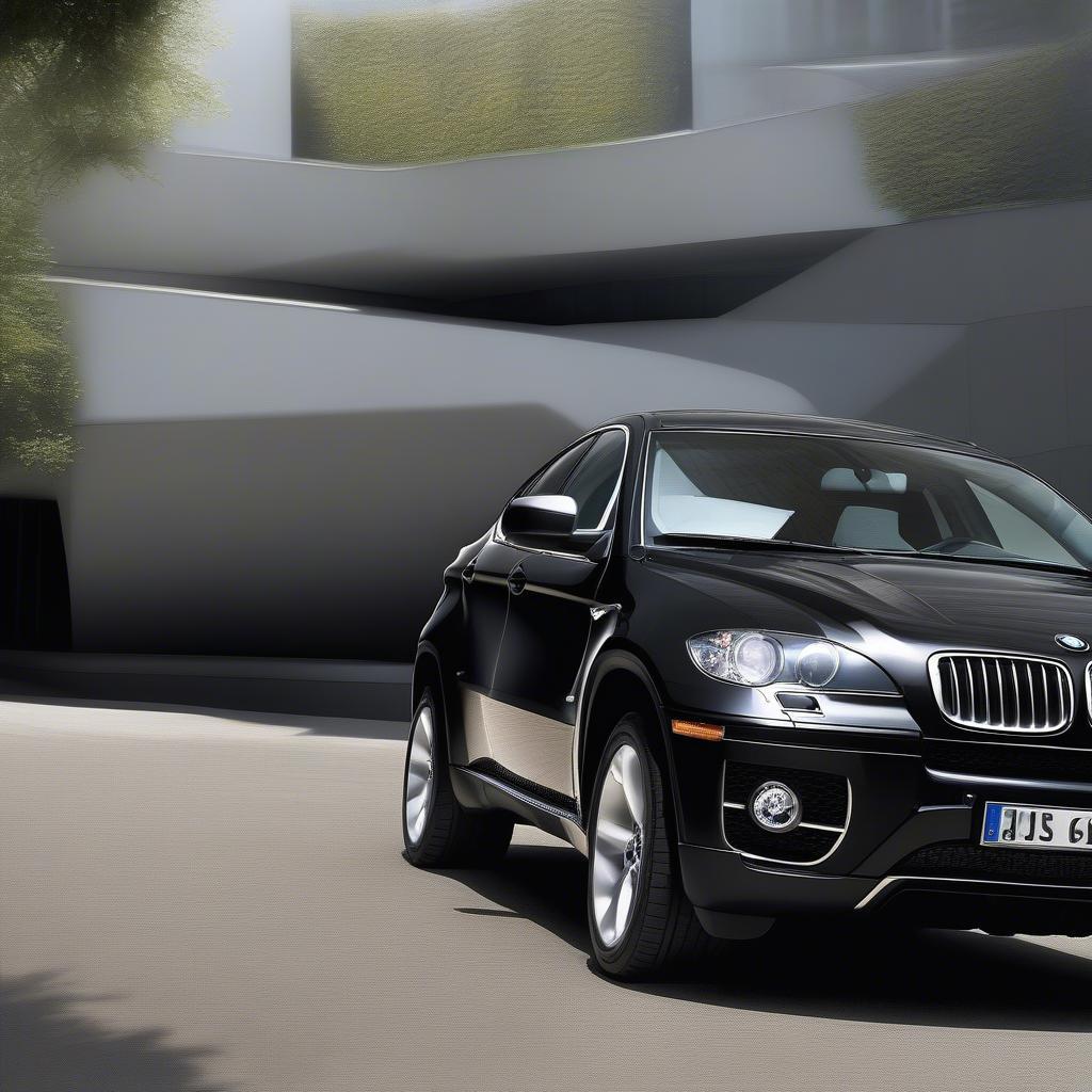 BMW X6 2009 Ngoại Thất