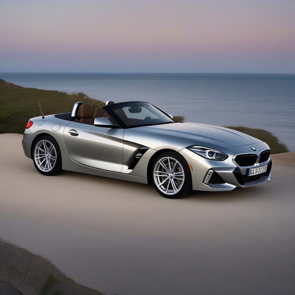 BMW Z4 2004 Thiết kế ngoại thất