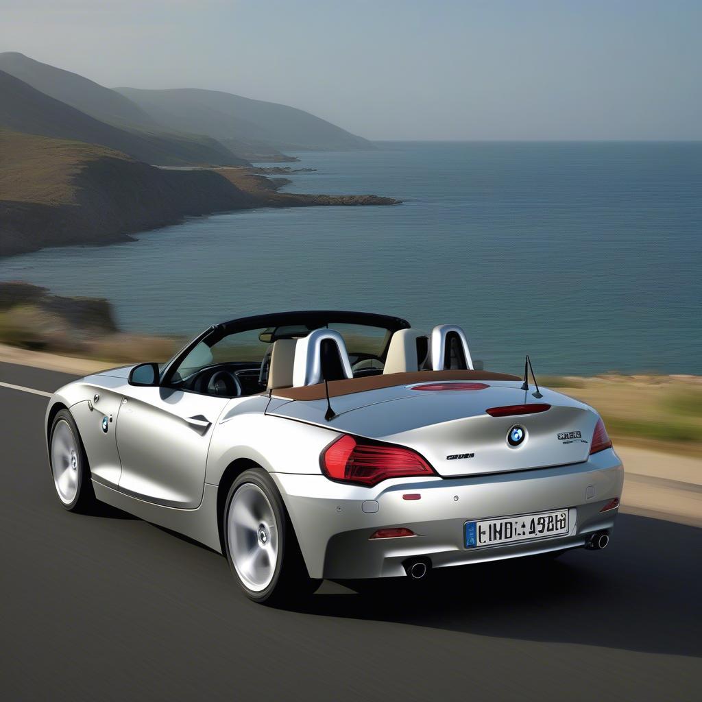 BMW Z4 2009 mui trần sang trọng.