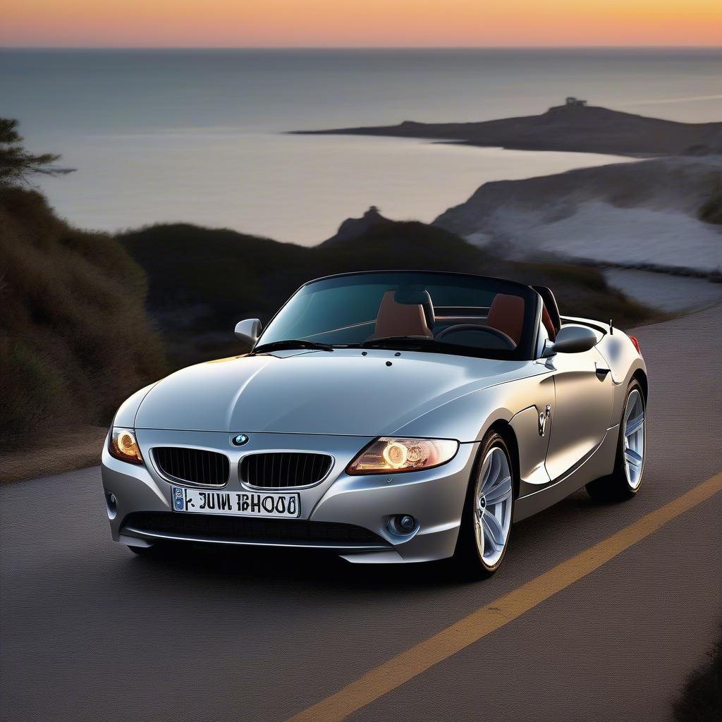 BMW Z4 2009 Ngoại Thất