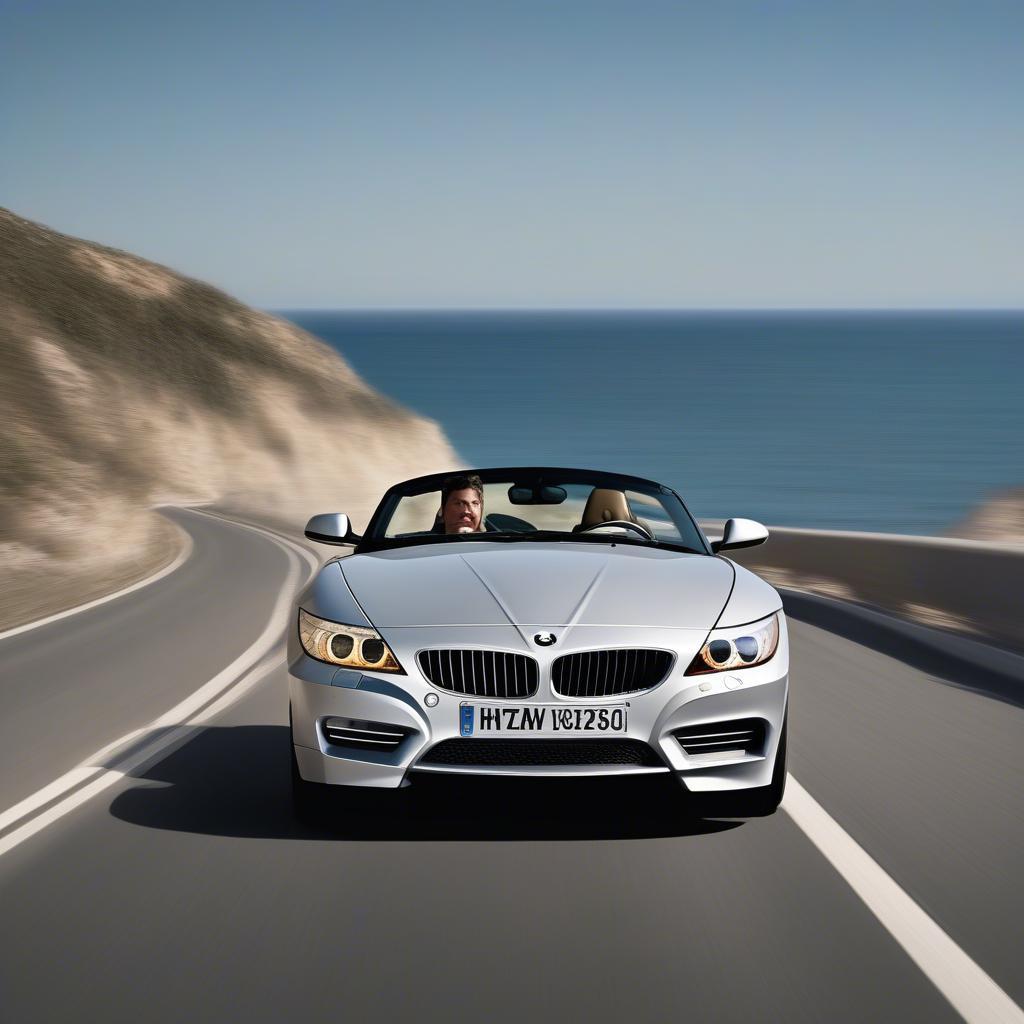 BMW Z4 2010 vận hành mạnh mẽ