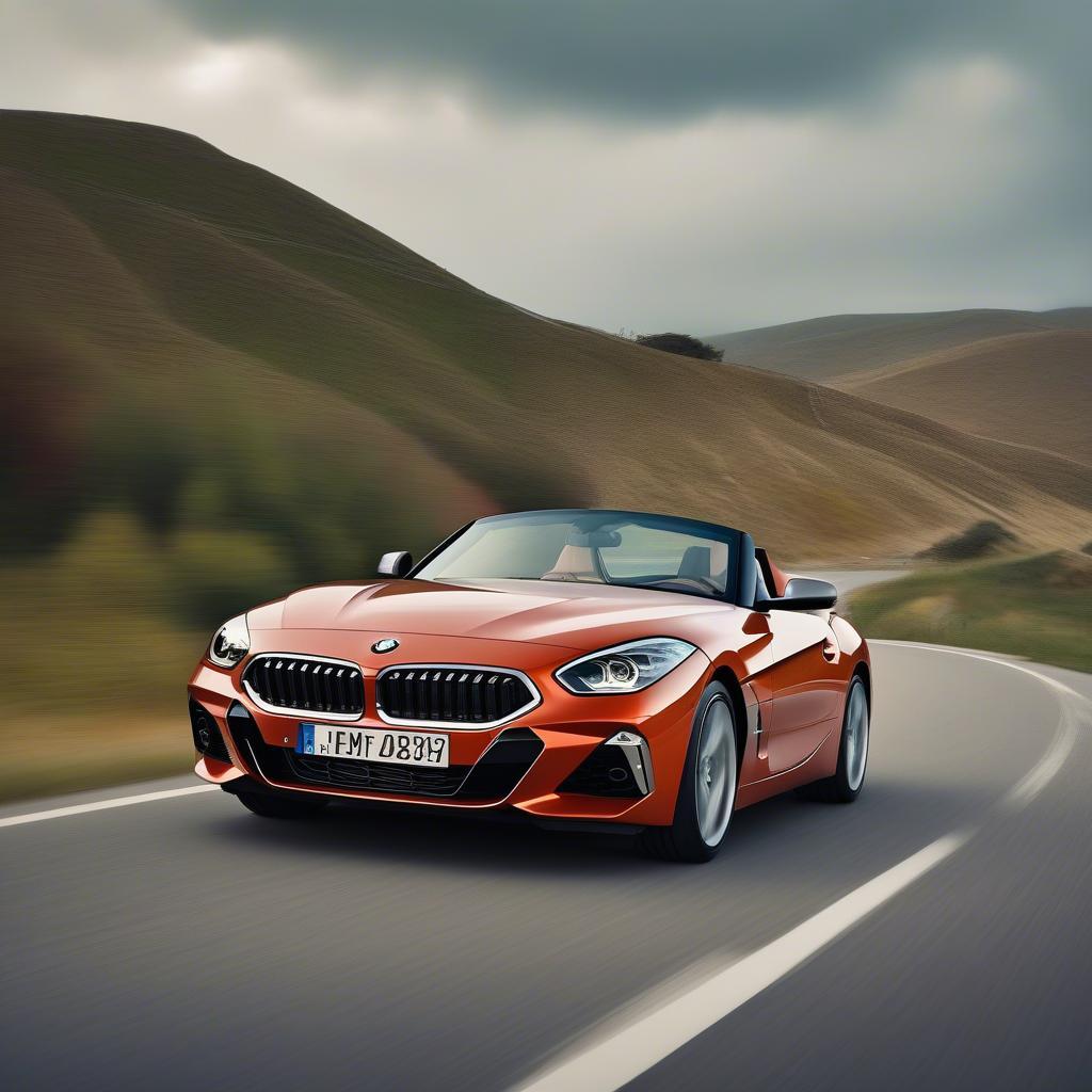 BMW Z4 dùng thử