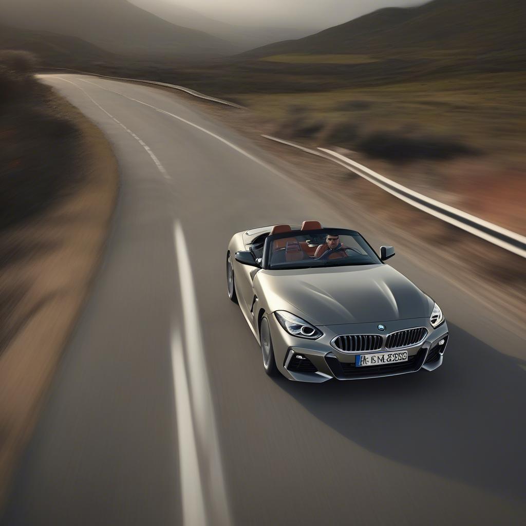 BMW Z4 Trên Đường Cao Tốc