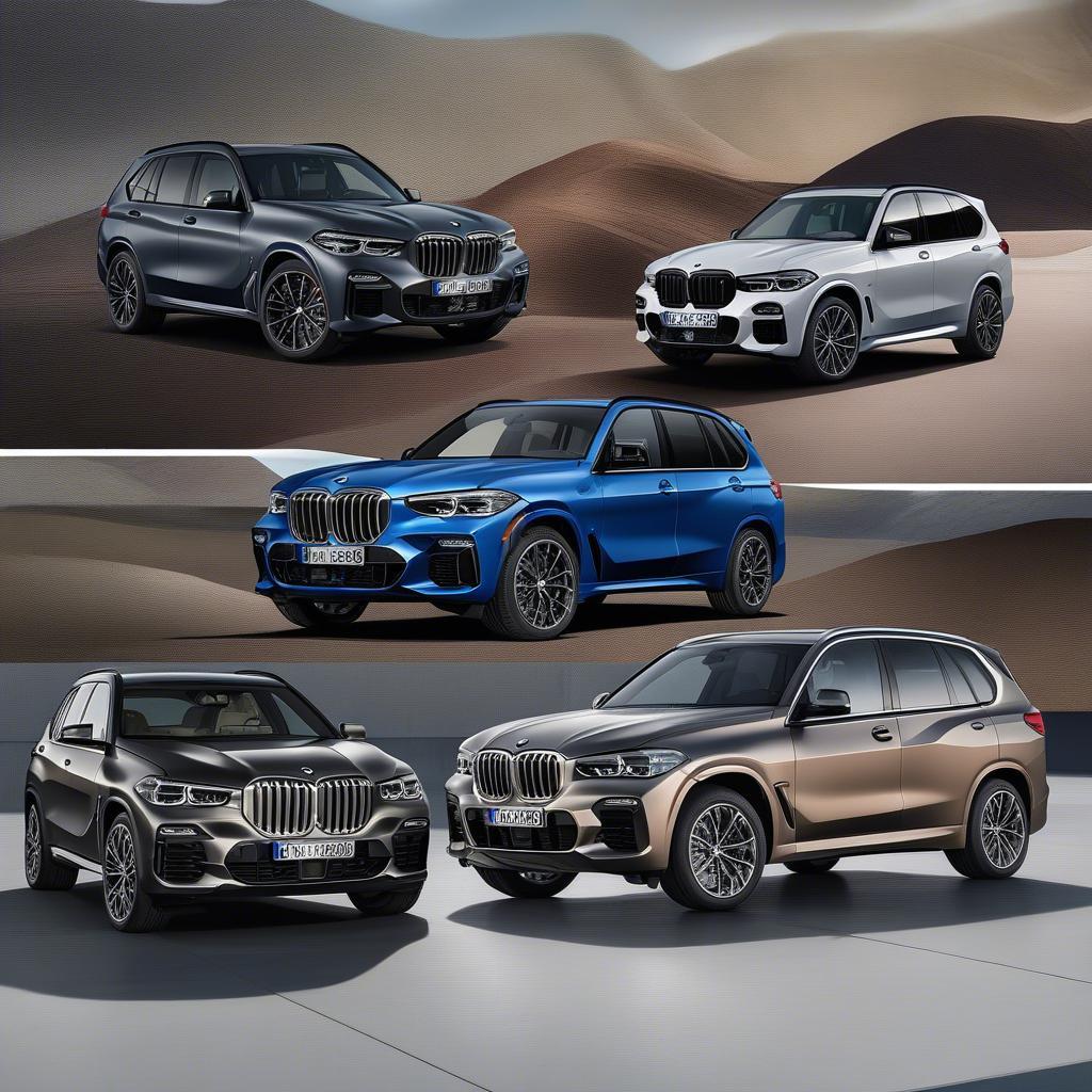 Các phiên bản BMW X5 hiện nay: xDrive40i, xDrive45e, M50i