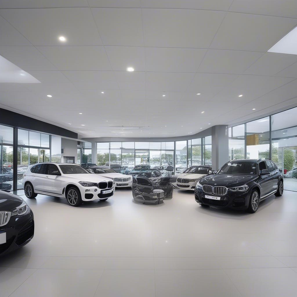 Showroom Barretts BMW Canterbury