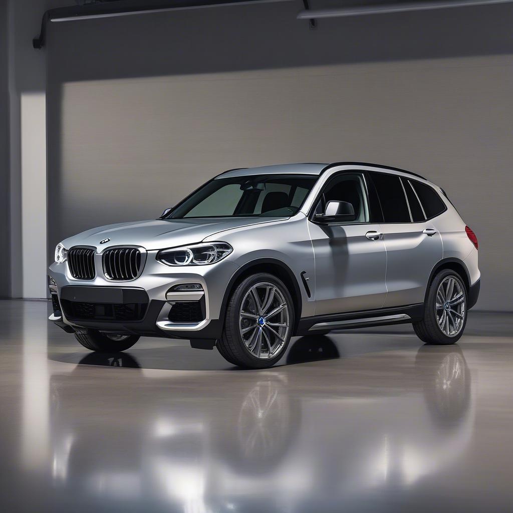 Bệ bước chân BMW X3 F25 sang trọng