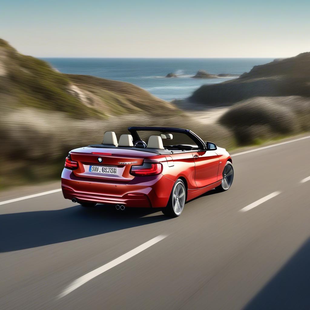 BMW 2 Cabrio Gebraucht Lái Thử