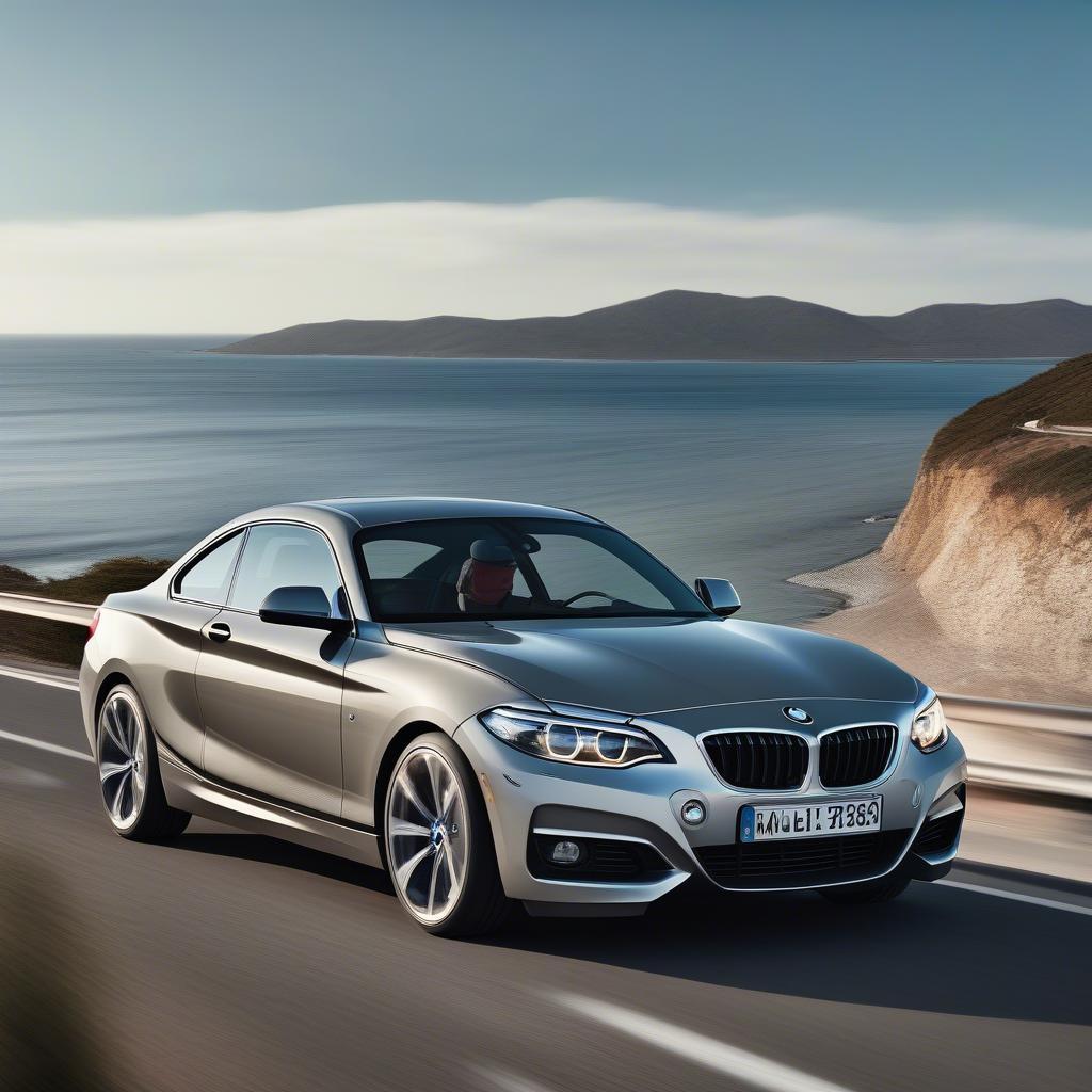 BMW 2 Cửa Coupe Thể Thao