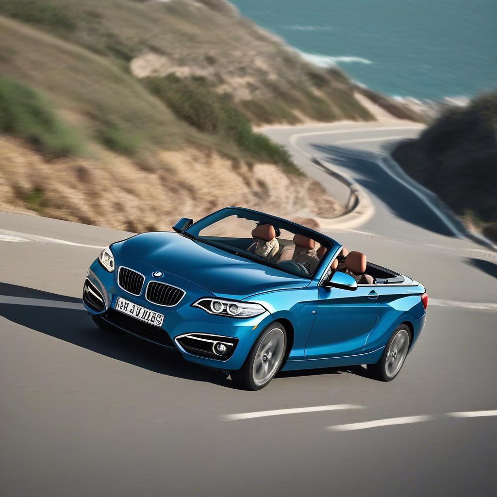 BMW 2 cửa cũ: Lái thử