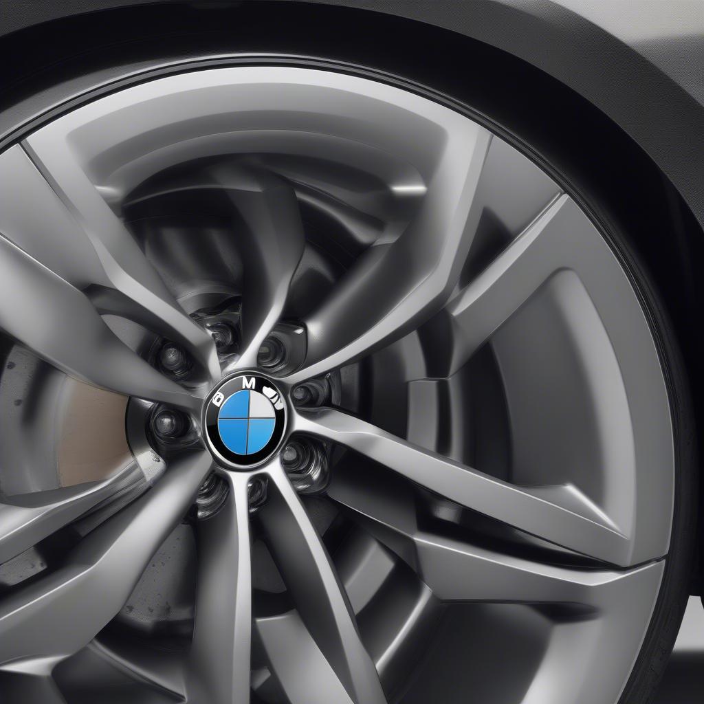 BMW 20 inch velgen kiểu dáng thể thao