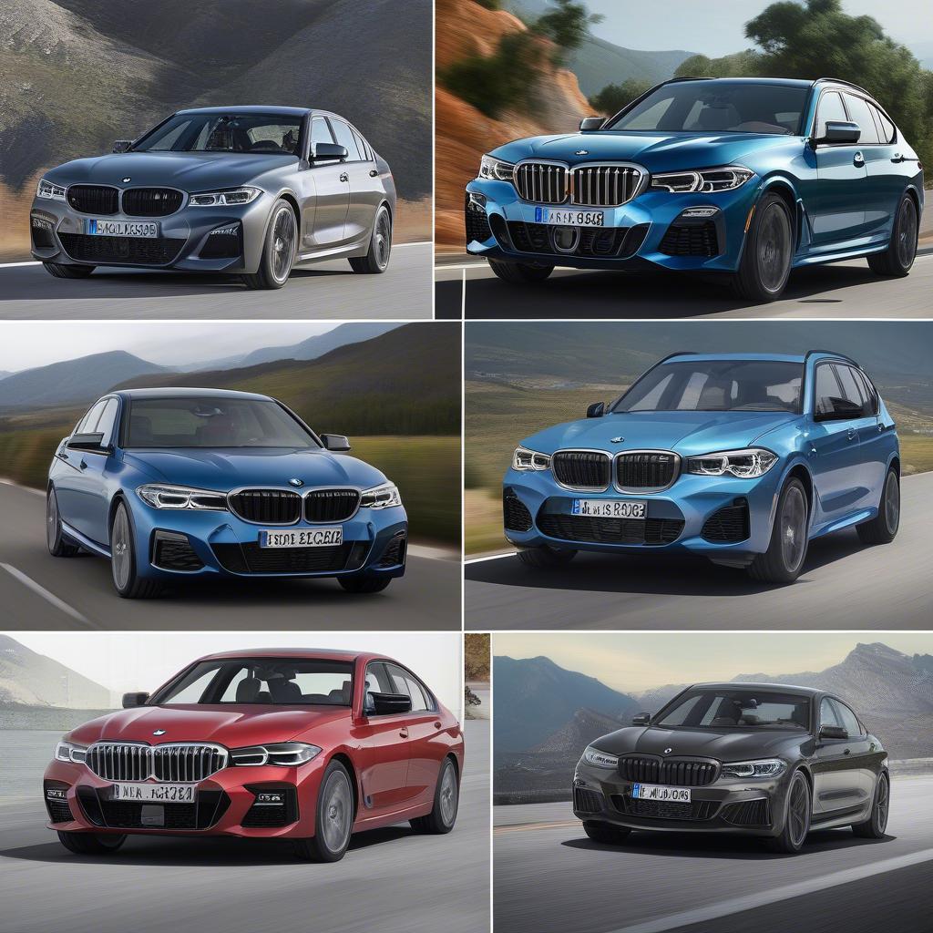 BMW 2019 Phiên Bản Nổi Bật