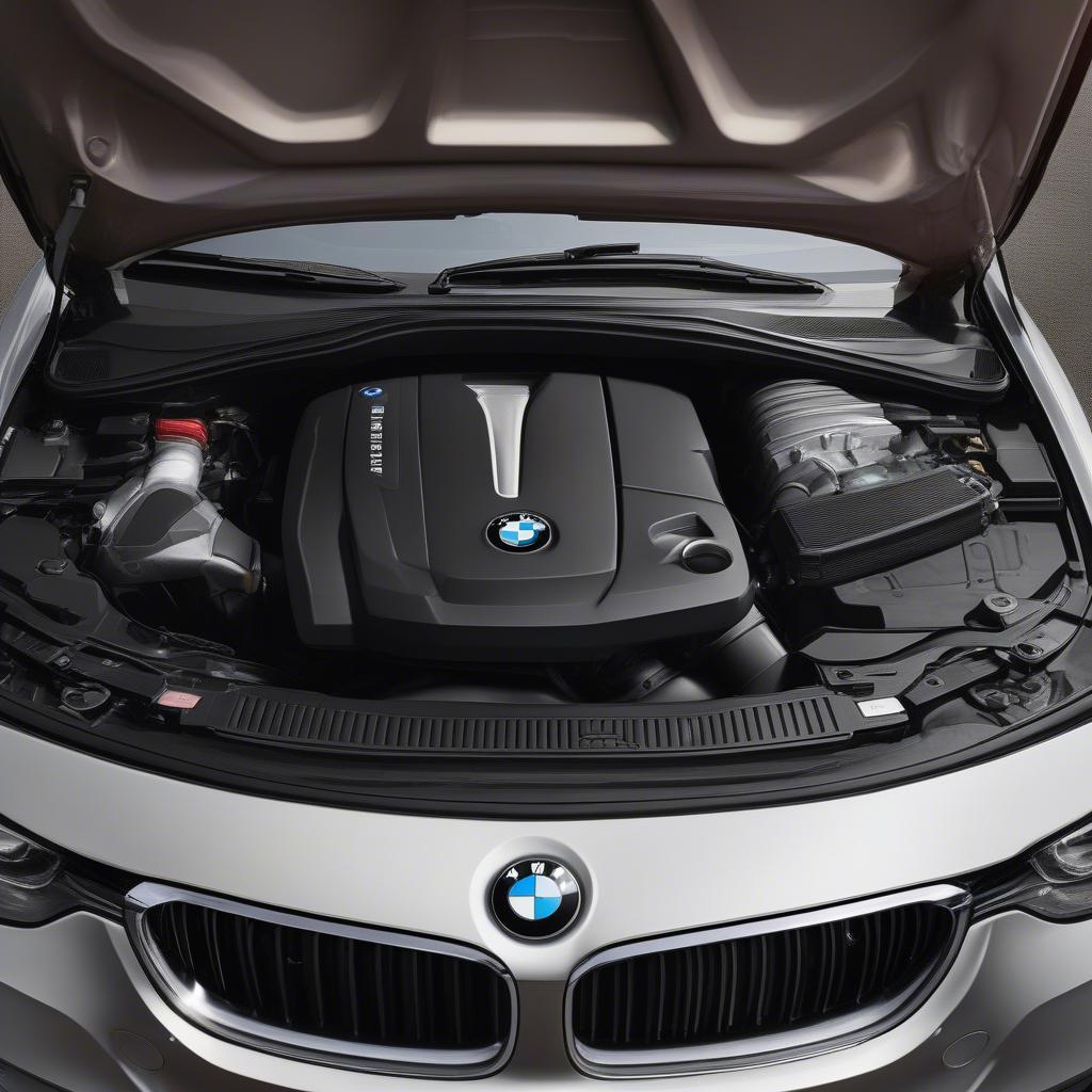 Động cơ BMW 3 Series 2016