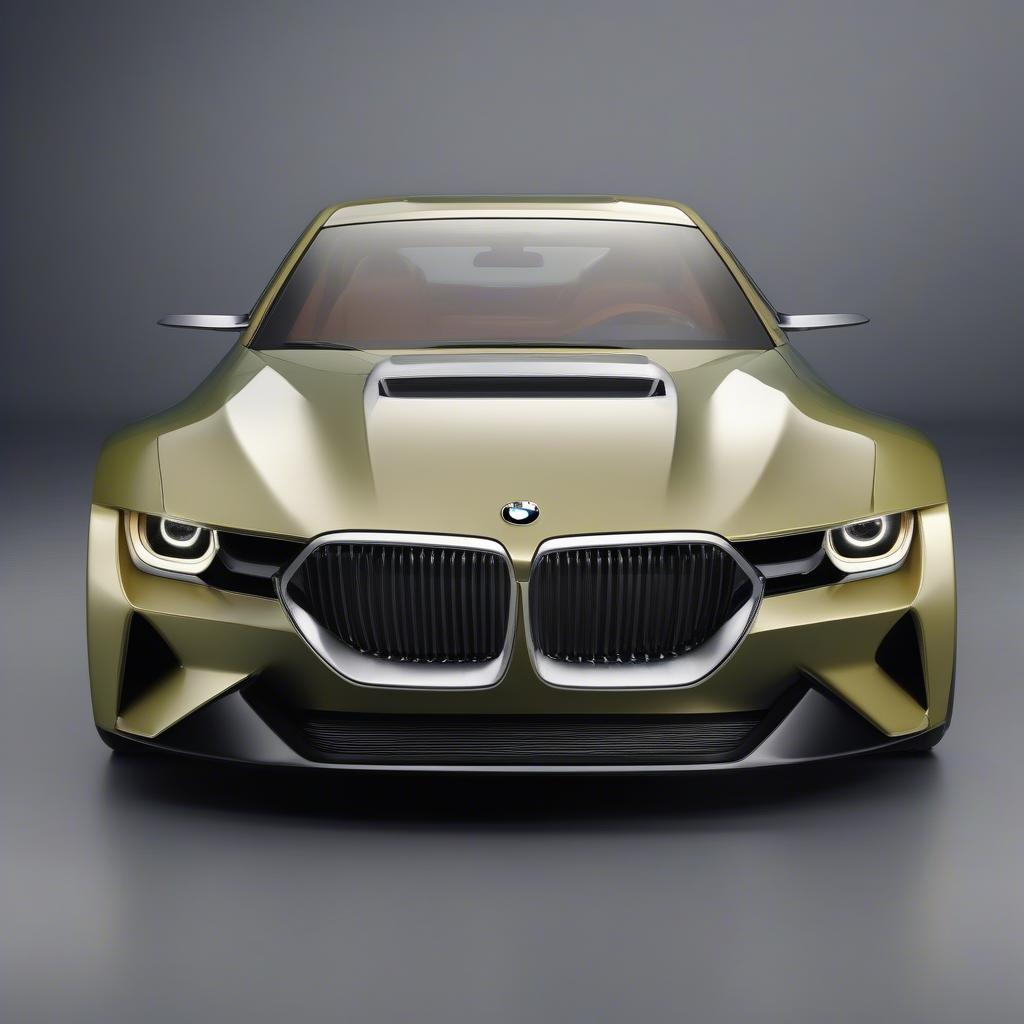 BMW 3.0 CSL Hommage Cảnh Chính Diện