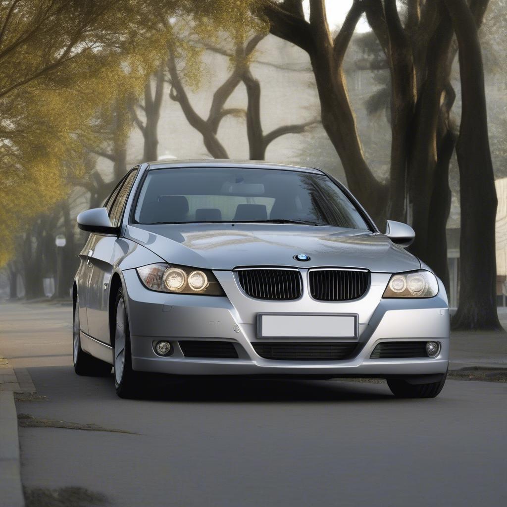 BMW 318i E90 2007 Ngoại Thất