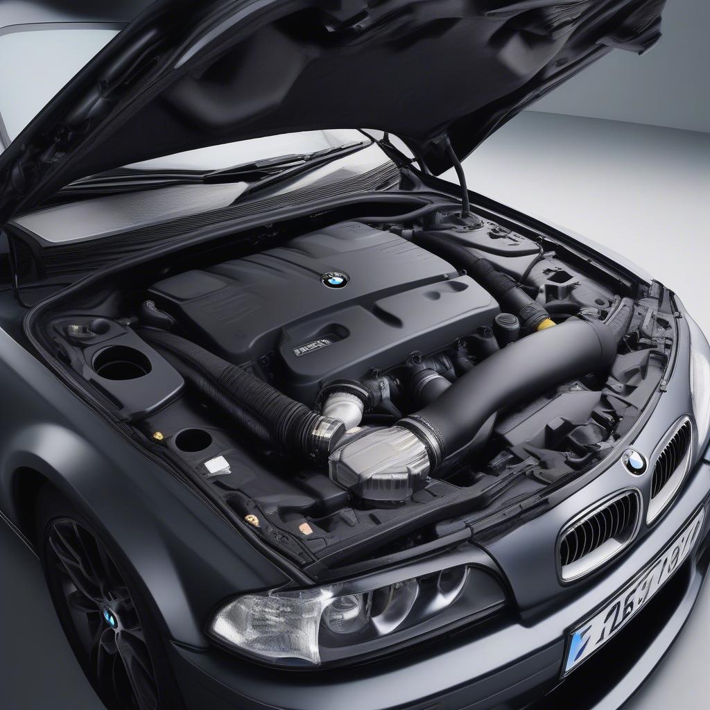 BMW 320d E46: Động cơ