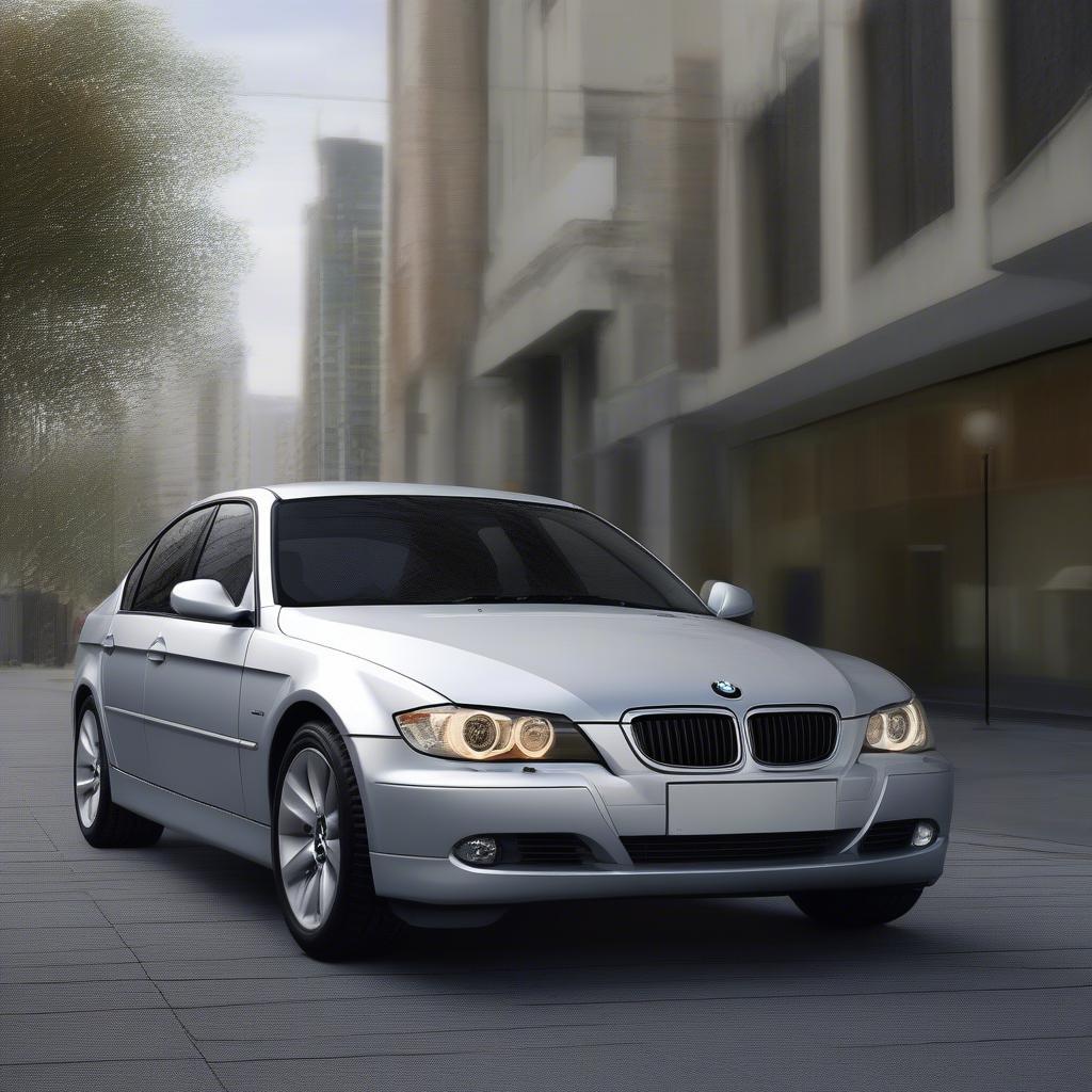 BMW 320i 2005 Ngoại Thất