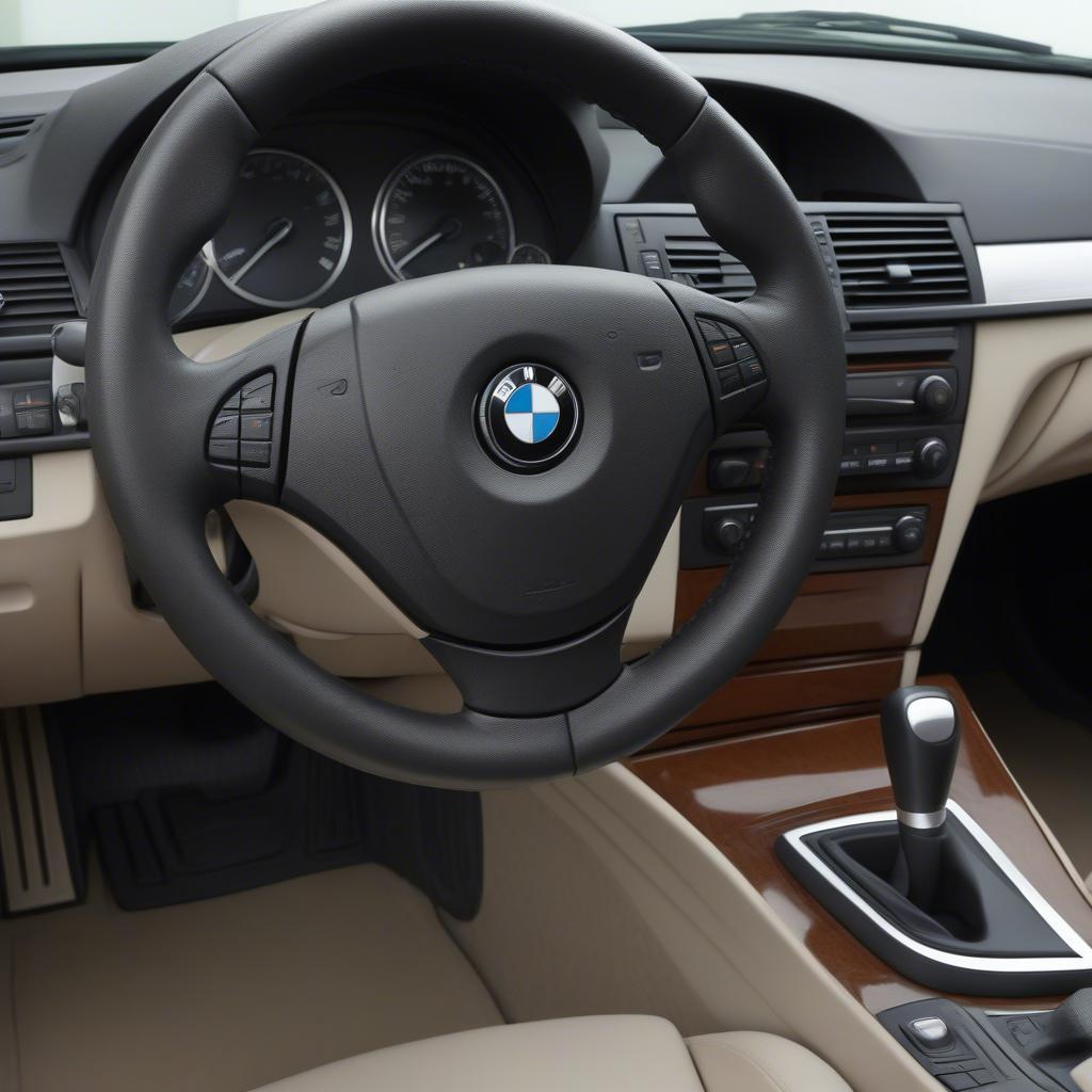 BMW 320i 2009 Nội Thất