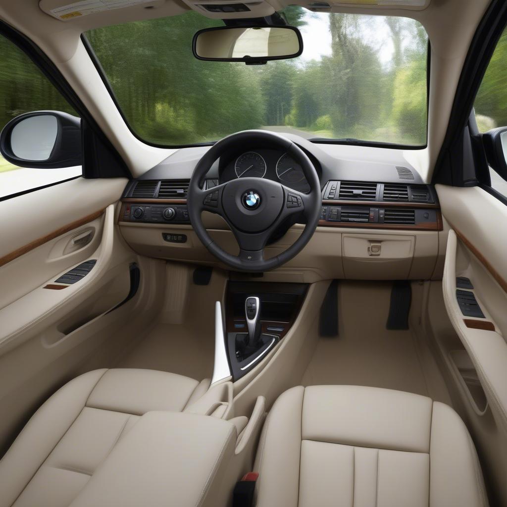 BMW 320i 2009 Nội Thất