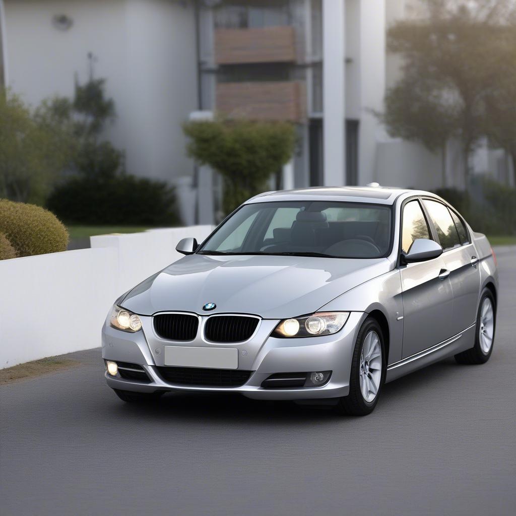 Ngoại thất BMW 320i 2010