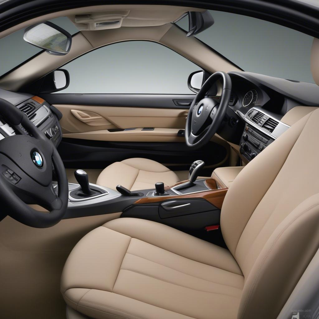 BMW 320i 2010 nội thất