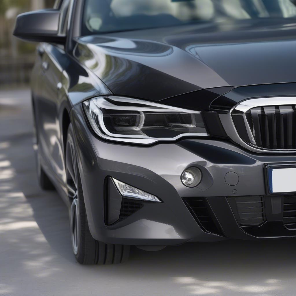 BMW 320i 2019 cũ đầu xe