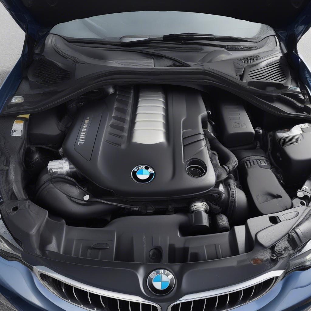 Động cơ BMW 320i cũ: Mạnh mẽ và tiết kiệm nhiên liệu