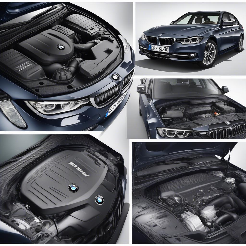 BMW 323i số sàn động cơ