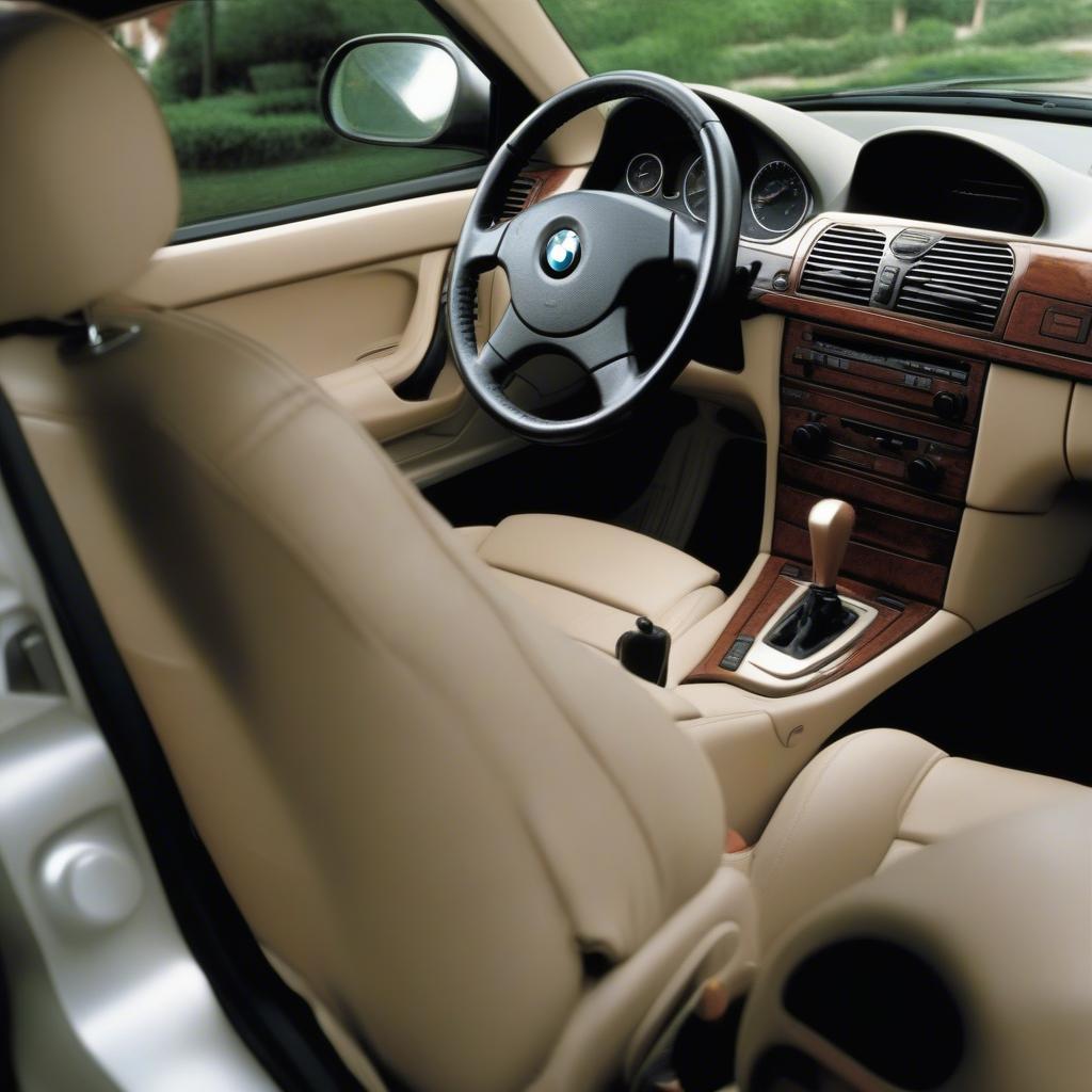 BMW 325Ci 2002 Nội thất