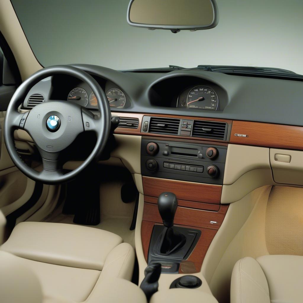 BMW 325i 2003-2005 Nội Thất