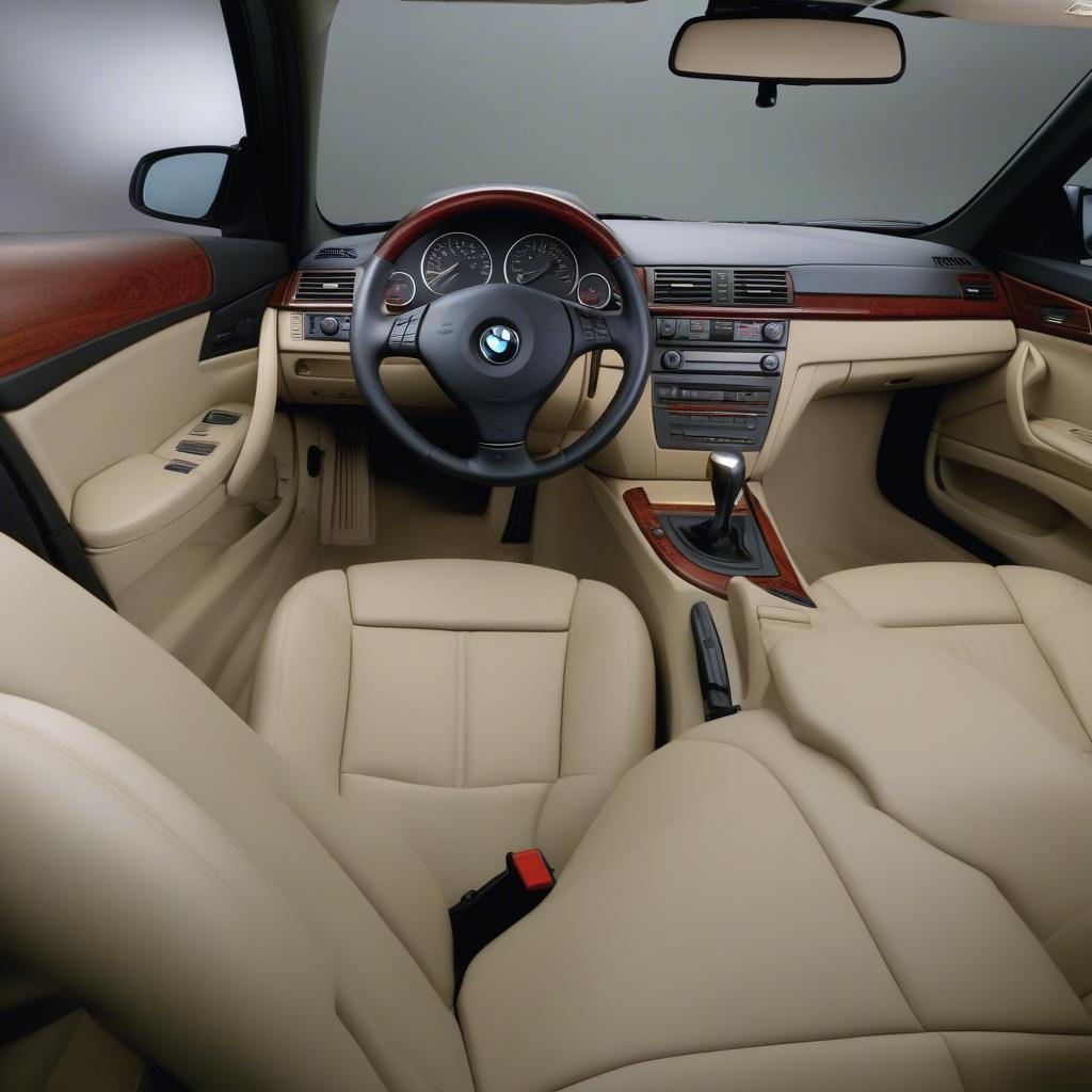 BMW 325i 2006 Nội Thất