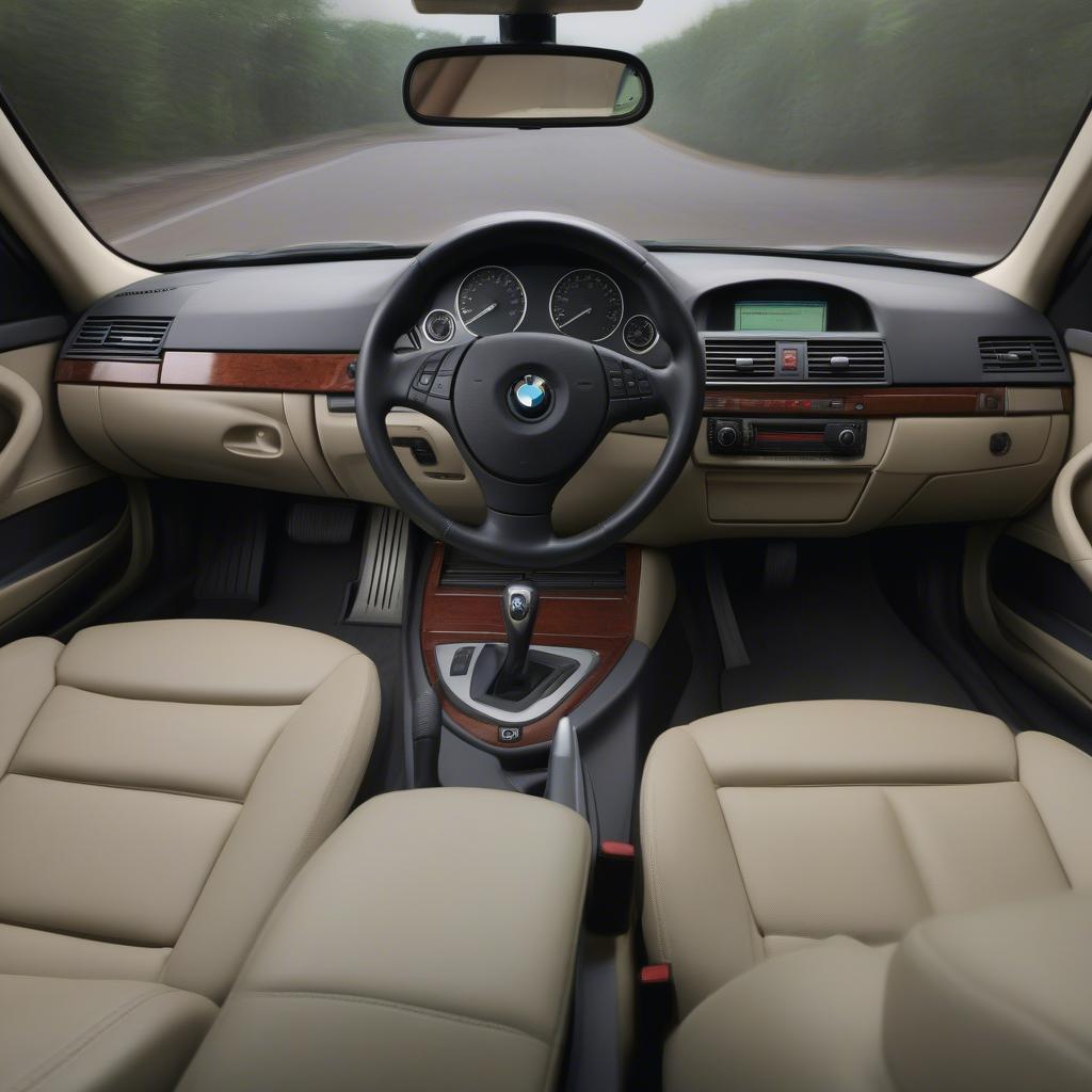 BMW 325i E46 2004 Backsit: Không Gian Rộng Rãi