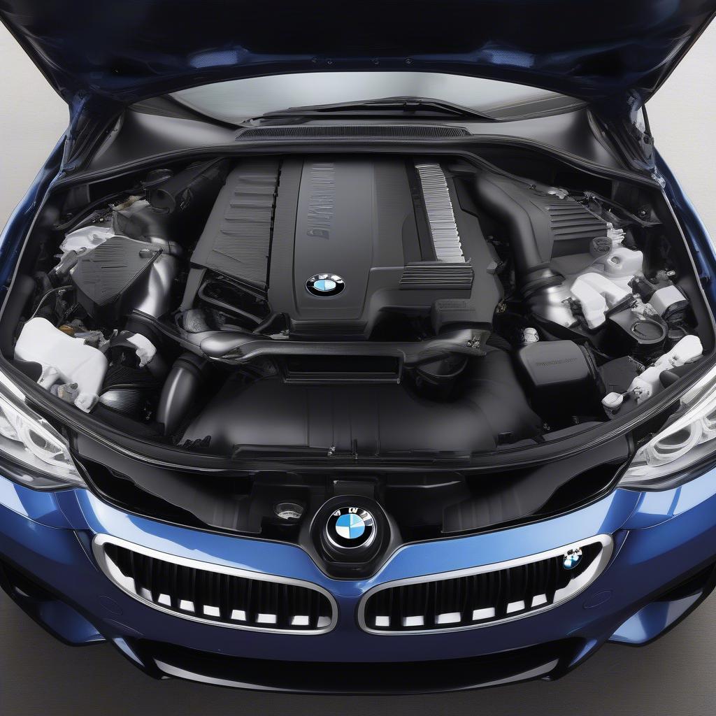 BMW 435i Hiệu Năng Mạnh Mẽ