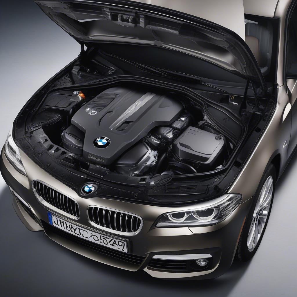 Động cơ BMW 5 Series 2016