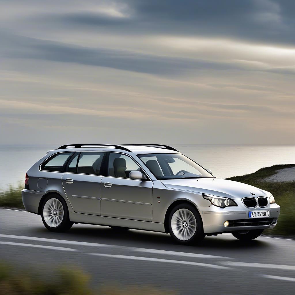 Ngoại thất BMW 520d 2003 Wagon