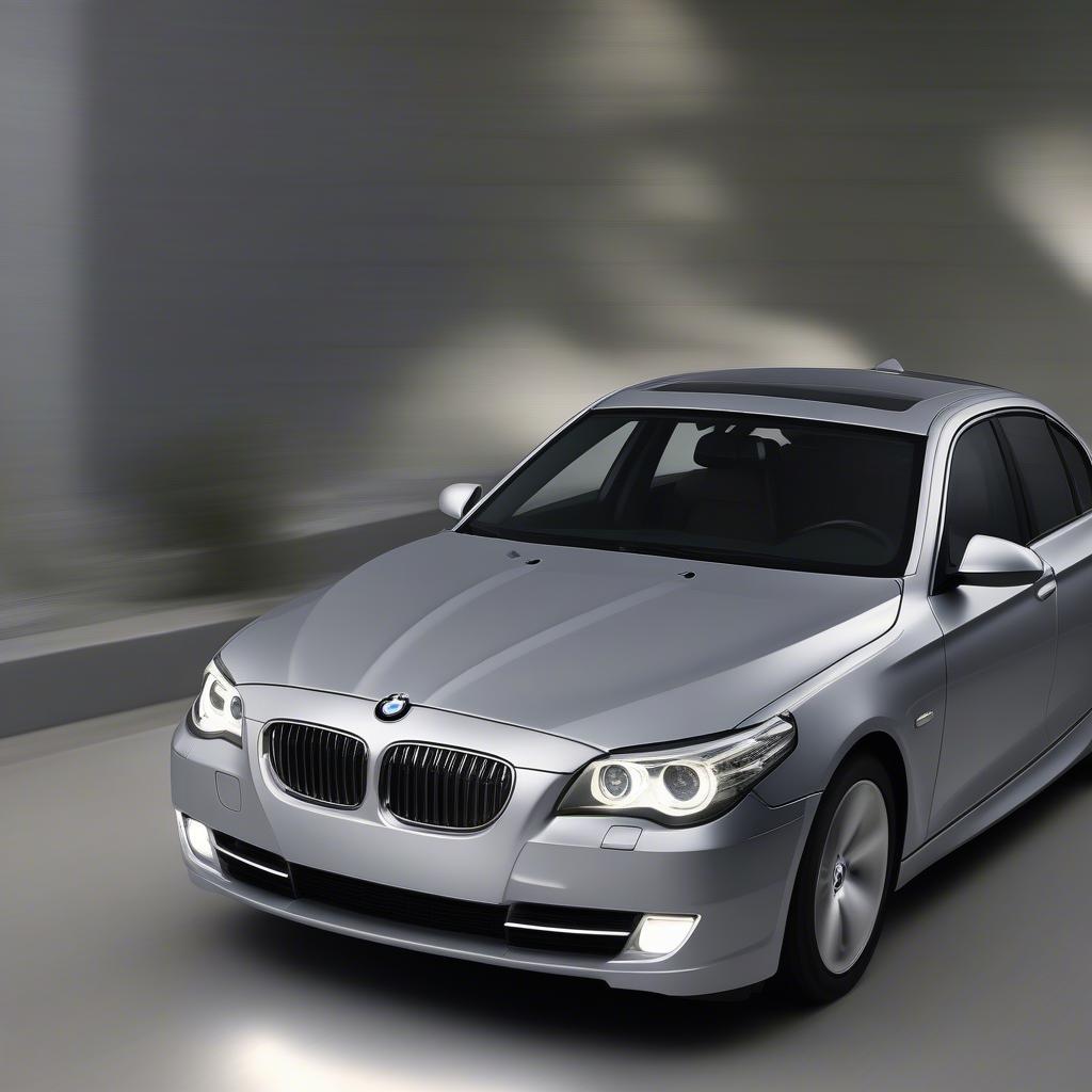 BMW 523i 2010 Ngoại Thất