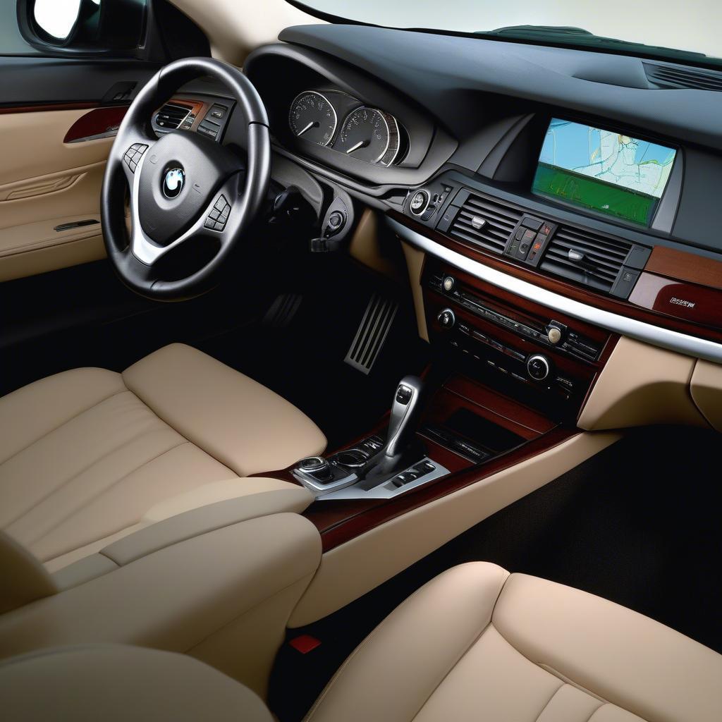 BMW 528i 2010 Nội Thất