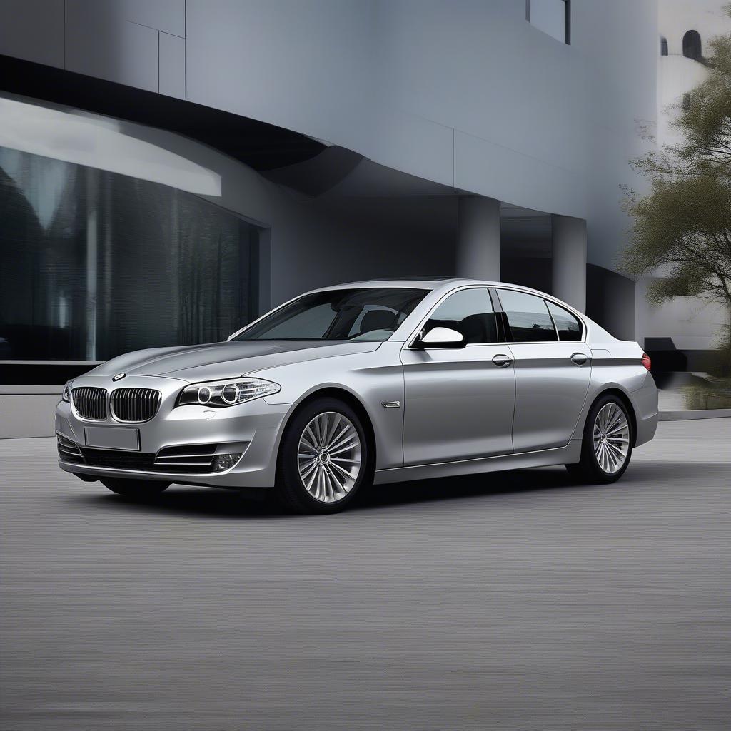 BMW 528i Ngoại Thất Sang Trọng