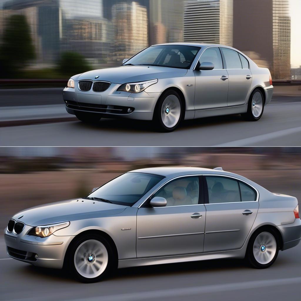 Ngoại thất BMW 545i 2005