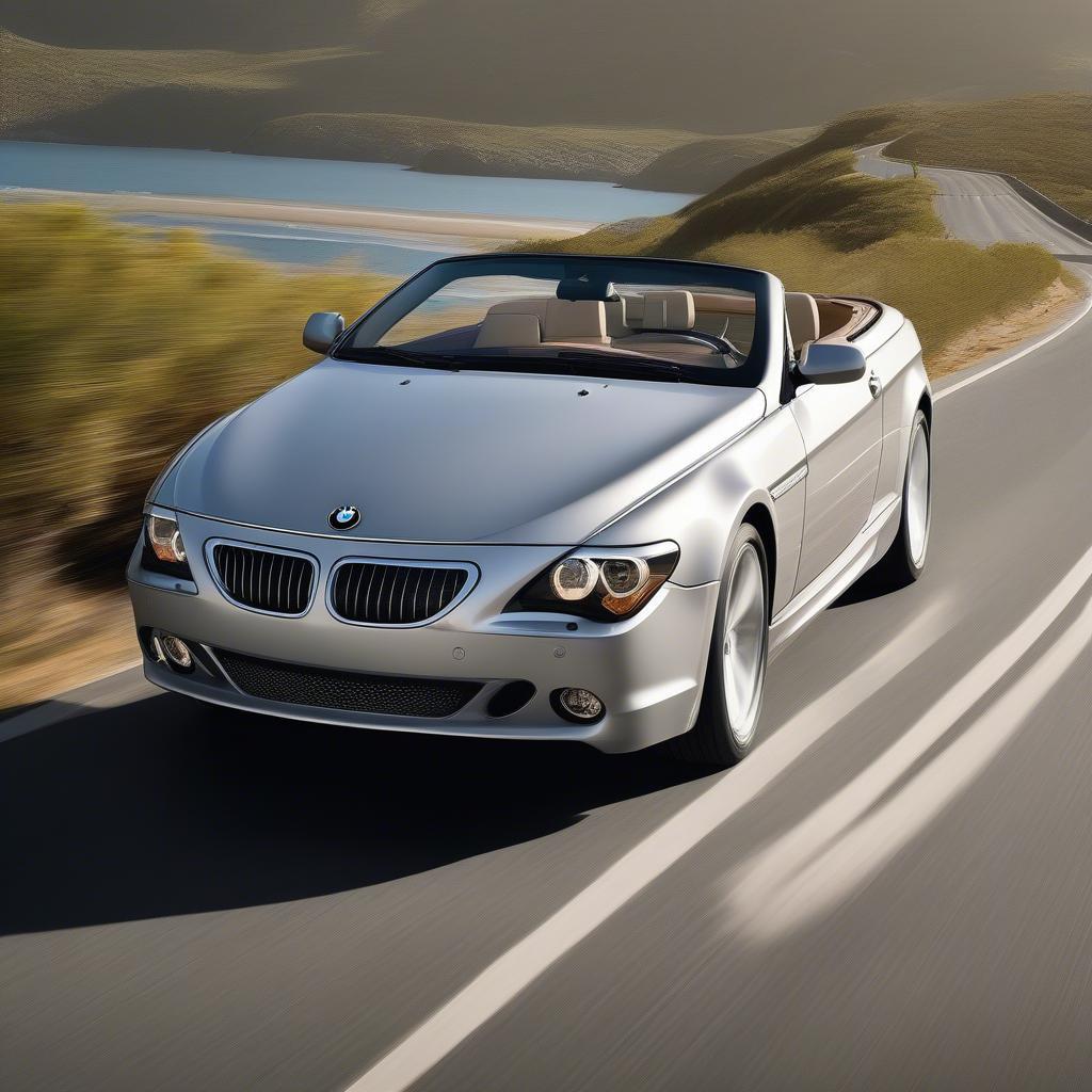 Thiết kế ngoại thất BMW 645Ci Convertible sang trọng và thể thao