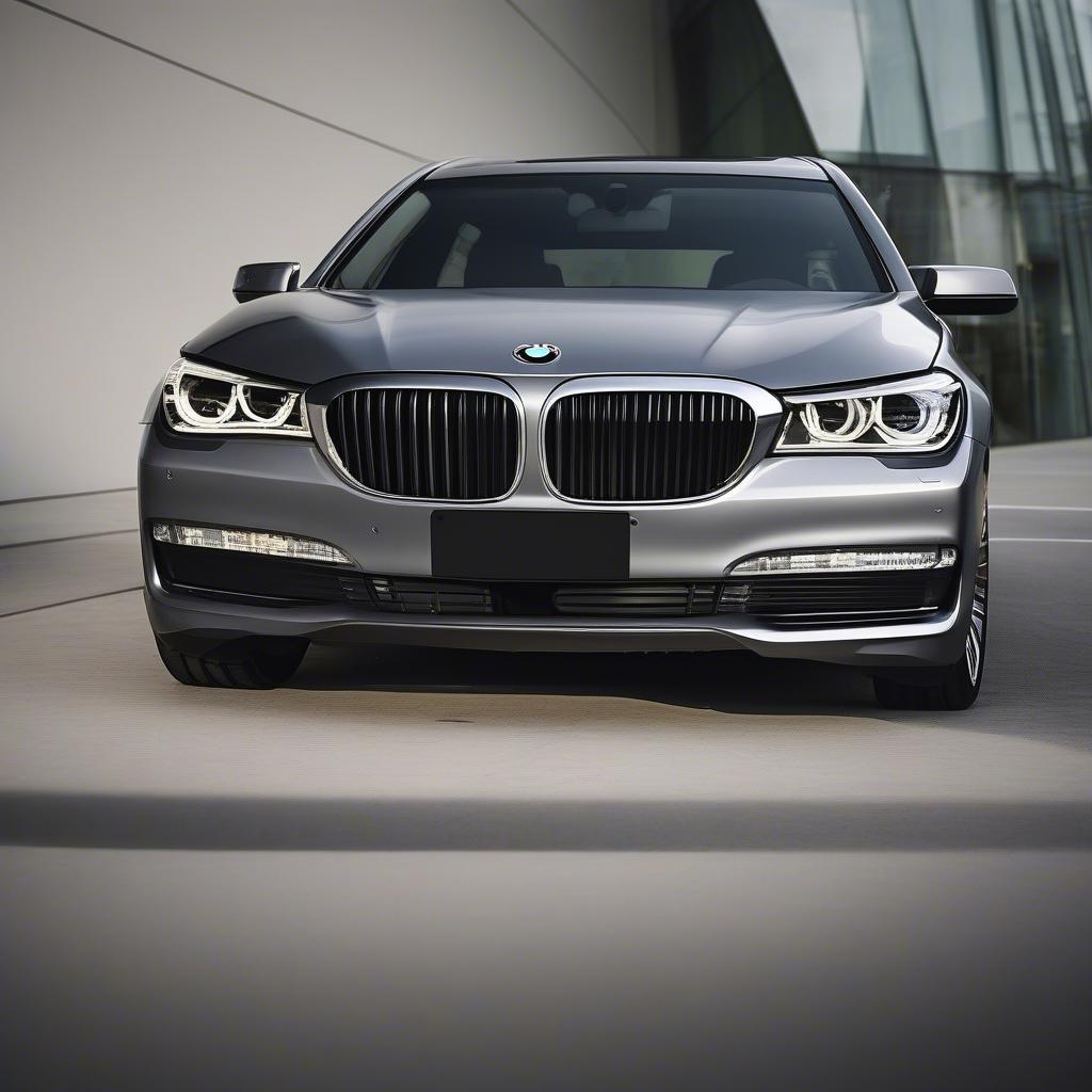 Ngoại thất BMW 730 2015 cũ