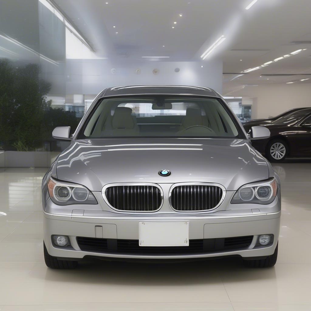 BMW 740Li 2009 Ngoại Thất